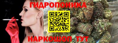 стаф Пушкино