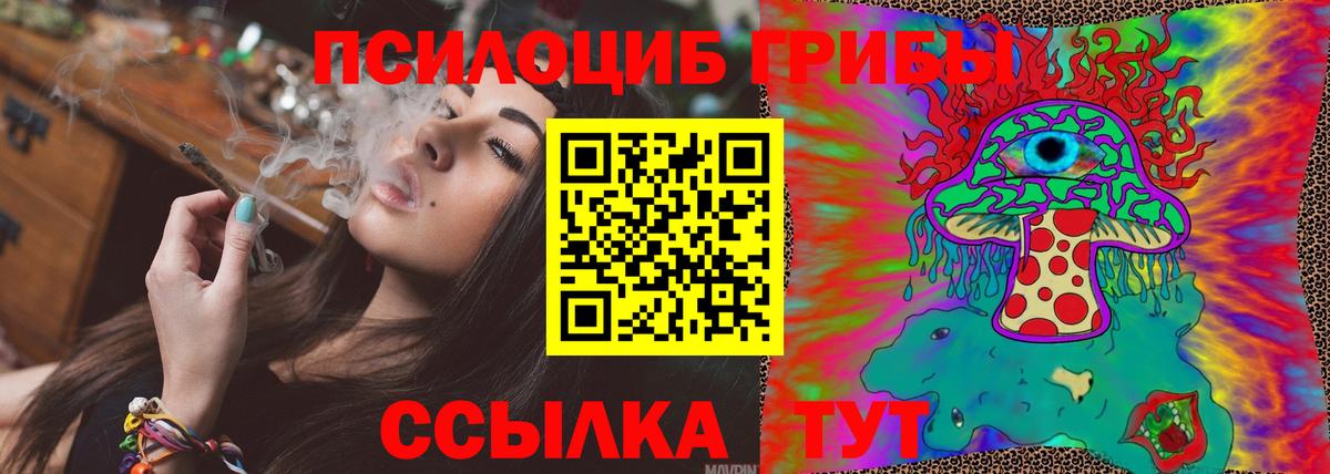 Семёнов  Псилоцибиновые грибы GOLDEN TEACHER  Вход с VPN 